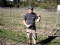 Wikus on pruning