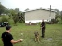 deep south K9-1