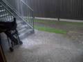 Hurricane Dolly