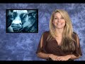 QualityStocks Daily Video 11/26/2007 QualityStocks Daily Video 11/26/2007