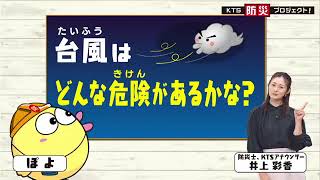 台風はどんな危険がある？