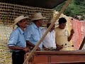 Roatan Honduras Musicians