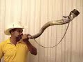 Berrante - O Melhor Berranteiro do Brasil