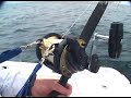 Intense Battle with a 400lb Thresher Intense Battle with a 400lb Thresher