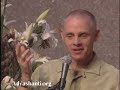 \"Relationship With Thought\" Adyashanti