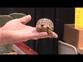 NARBC Anaheim - Interview with Jeff Gee - CBWF