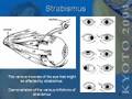 videos de The Story of Botox by Dr. Patrick Treacy