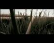 Y�ld�r�m YILDIZDO�AN Ad�n Bats�n vefas�z 