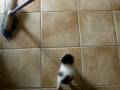 bijou s'amuse