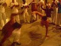 Roda Gicap - Tubarão, Camaleão, Coqueiro, Patão