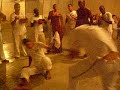 Roda Gicap - Tubarão, Camaleão, Coqueiro, Patão