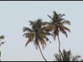 Backwaters