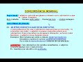V�deo Aula de Concord�ncia Nominal 2� Parte