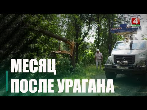 Прошел месяц после урагана на Гомельщине. Работы по ликвидации последствий не прекращаются видео