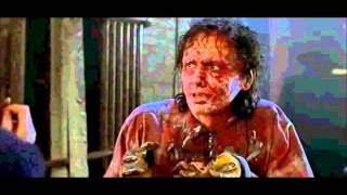 La Mouche (The Fly) - Le Best Of