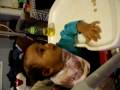 videos de Meri and Lionel's photos 027