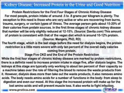 how to treat protein in urine