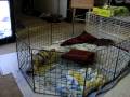 videos de MVI 7171