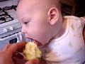 Troy Eating A Granny Smith Apple Troy Eating A Granny Smith Apple