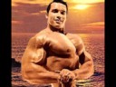 Arnold-Schwarzenegge