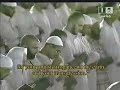 الحرم,الكلباني,المكي