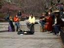 Central Park Musicians Central Park Musicians
