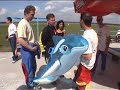 Dolphine Jump Dolphine Jump