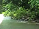 Retarded Arkansan teachin how not to catch a fish