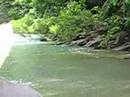 Retarded Arkansan teachin how not to catch a fish