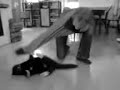 Floor mop Cat