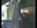 VIDEO CASSETADA E MUITO MAIS