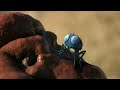 \"Time & Chance\" Trailer