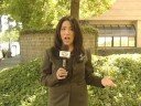 JEWS & MUSLIMS INTERVIEWED BY NAZY JAVID