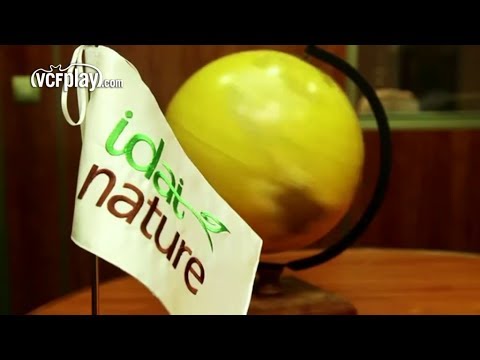 Valencia CF: El VCF premia a Idai Nature