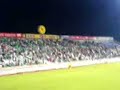 eiaste kala re eiaste kala re