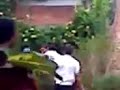 CBTIS 175 PELEAS (BOX)