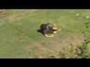 World Record Most Somersaults At A Time!!