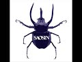 SAOSIN NEW SINGLE PREMIERE!!!  - \" VOICES \"