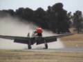 P40 Kittyhawk