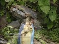 los arroyos de agua blanca  estado portuguesa   venezuela 