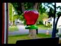 clip video I am Ready Hummingbird