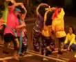 Rose Garden and Elephant Show - Thailand