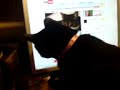 MOV00073.3GP MOV00073.3GP