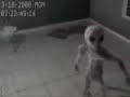 ...AN ALEIN STOOD ALONE