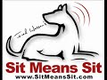 dog training can be at it's highest, and most attentive level when using the sit means sit dog training system.  

sit means sit dog training lisa myers of the pennsylvania task force, and owner of the 