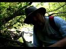 Bobby's Adventures in the Nantahala Forest