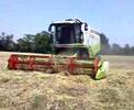 Lavori Agricoli F.lli STRADIOTTO...trebbiatura orzo...video by bughetoTeam...scusate x la risoluzione ma l'ho ftt kl cell qst video..
