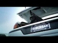 Trunk Monkey 3