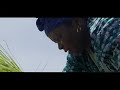 Open video