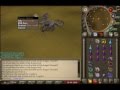 runescape screen shots (dk-six-pacc)